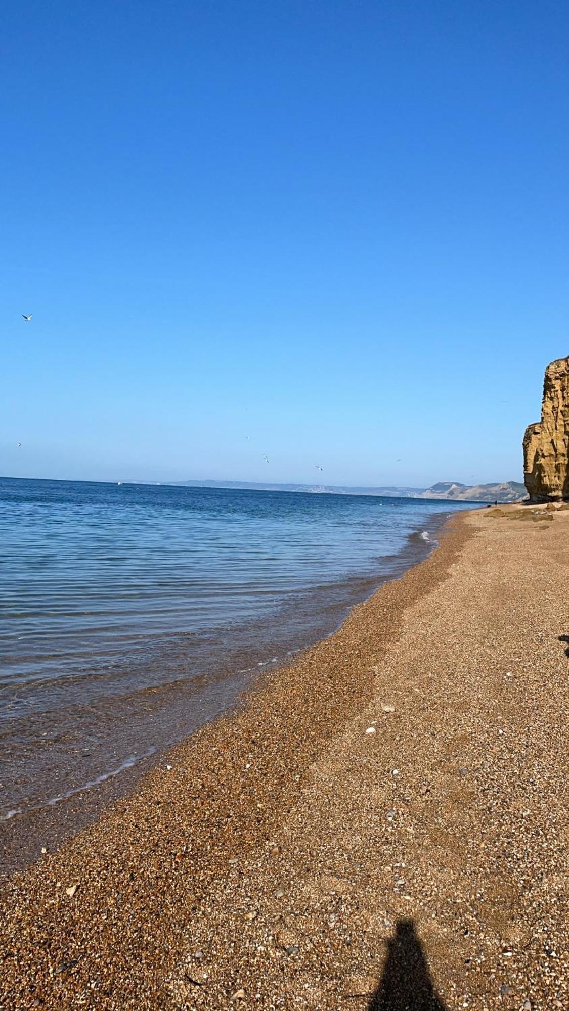 Golden Acre Jurassic Coastal Lodges ,Eype Bridport Ngoại thất bức ảnh